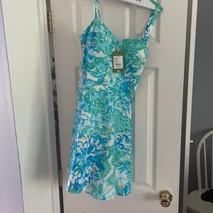 Lily Pulitzer Willow Dress